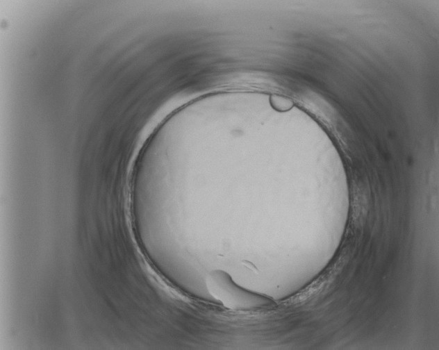 X0000083621478200703121615