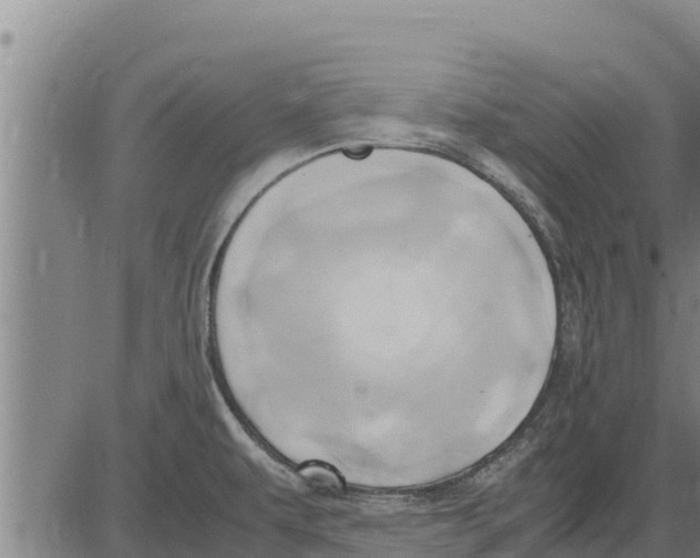 X0000083621479200703121615