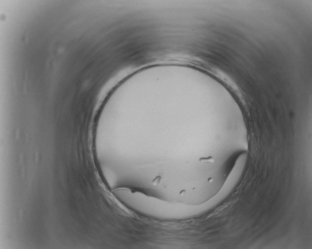 X0000083621480200703121615