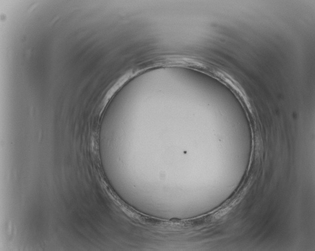 X0000083621481200703121615