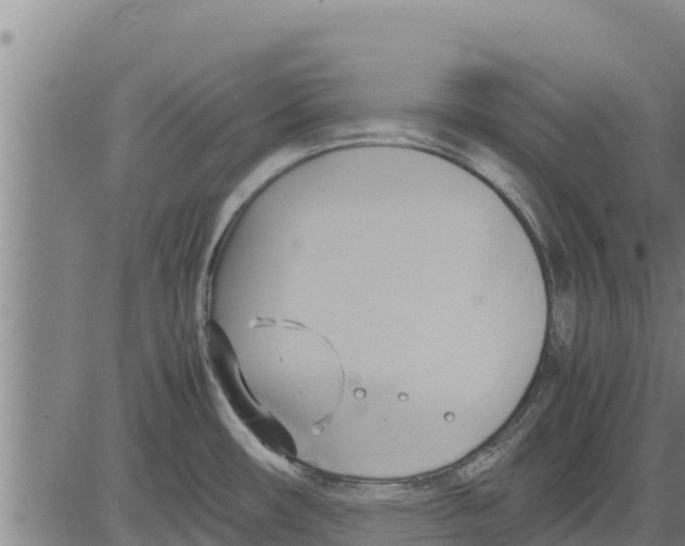 X0000083621482200703121615