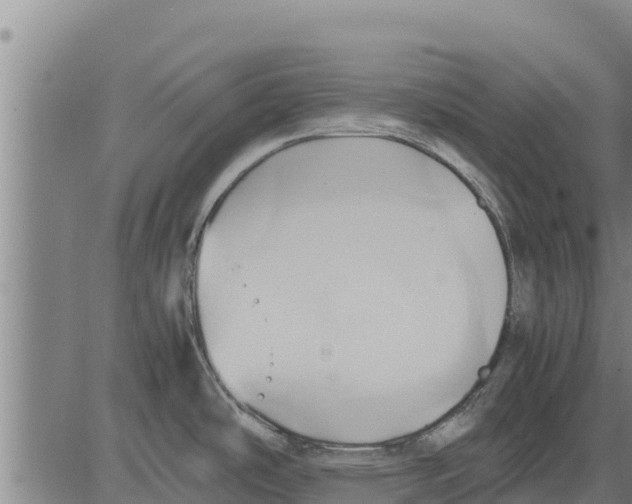 X0000083621486200703121615