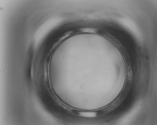 X0000083621487200703121615