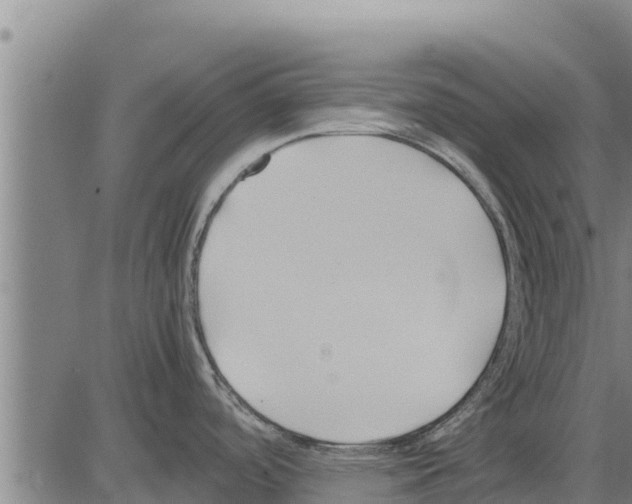 X0000083621488200703121615