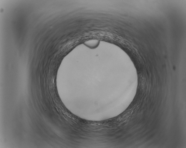 X0000083621489200703121614