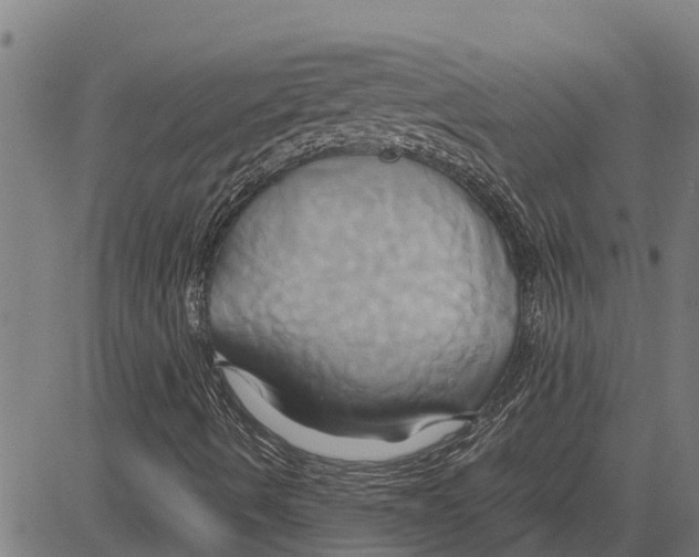 X0000083621490200703121614