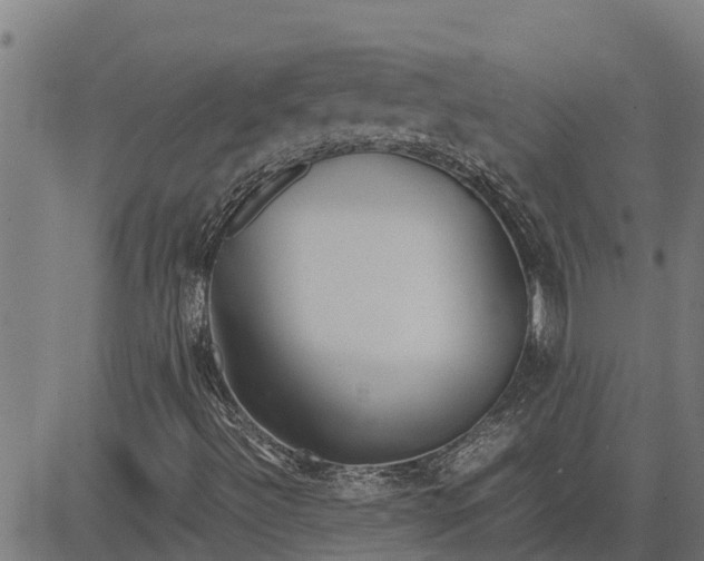 X0000083621492200703121614