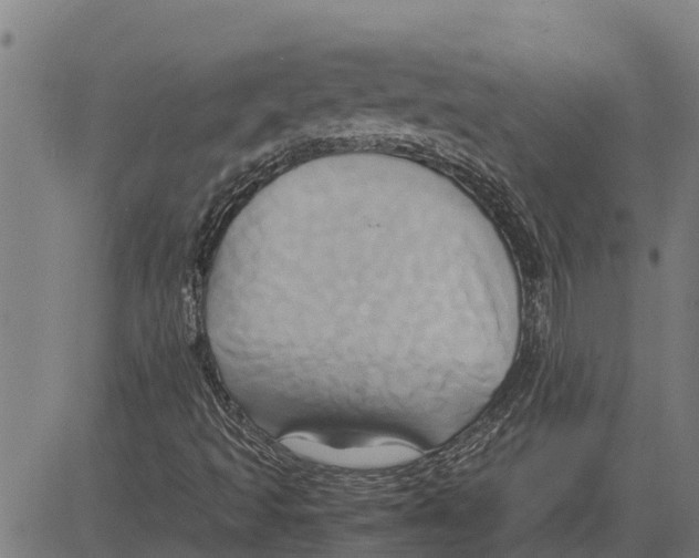 X0000083621493200703121615