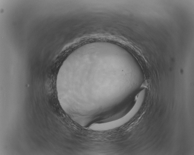 X0000083621494200703121615