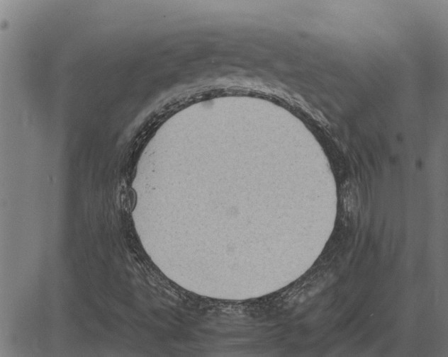 X0000083621495200703121615