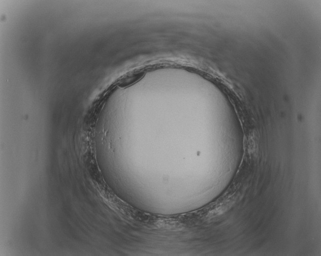 X0000083621496200703121615