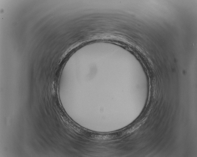 X0000083621497200703121615