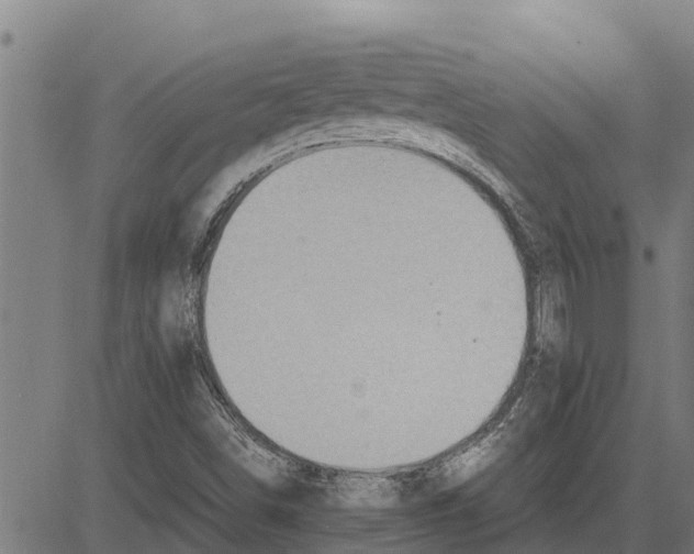 X0000083621498200703121615