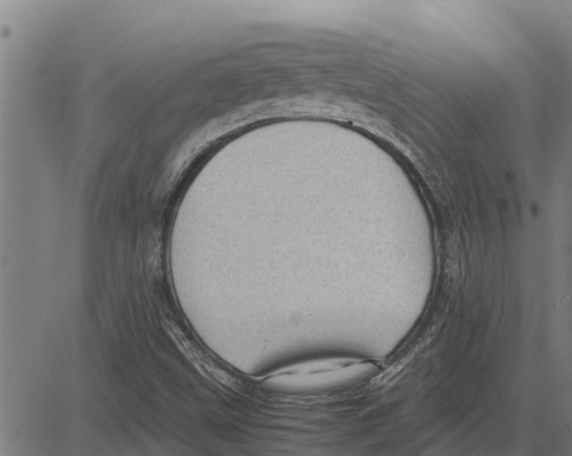 X0000083621499200703121615