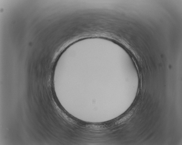 X0000083621500200703121615