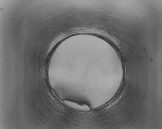 X0000083621501200703121615