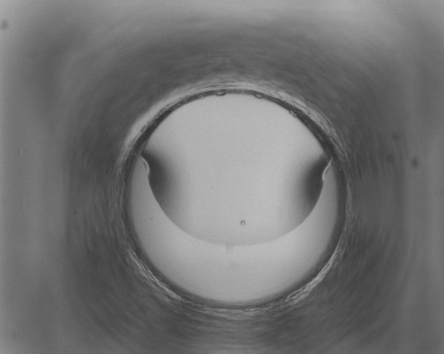 X0000083621502200703121615