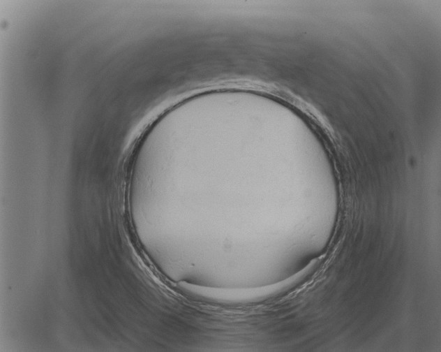 X0000083621504200703121615