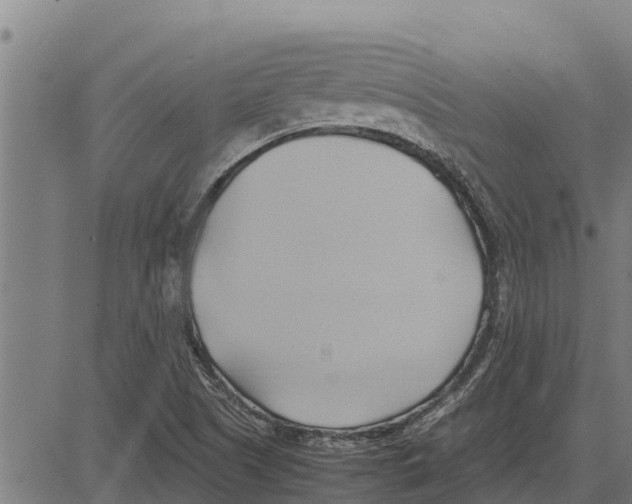 X0000083621505200703121615