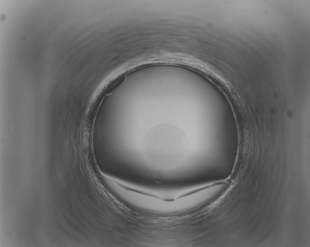 X0000083621506200703121615