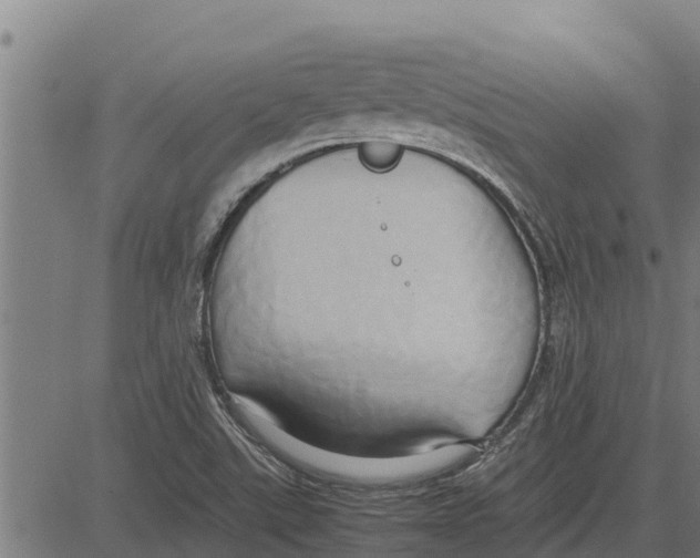 X0000083621507200703121615