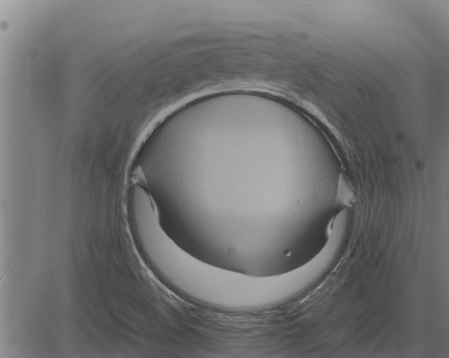 X0000083621508200703121615