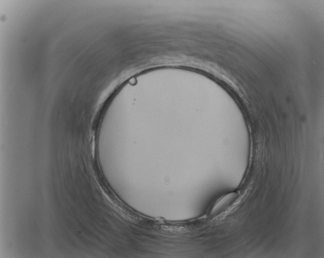 X0000083621509200703121615