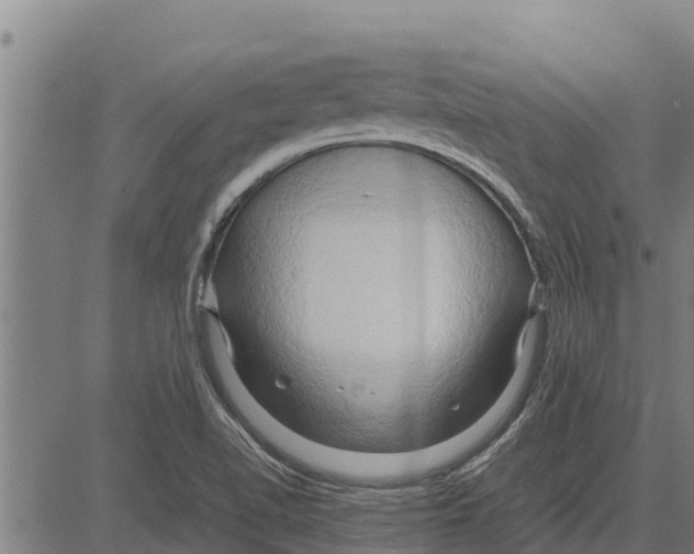 X0000083621510200703121615