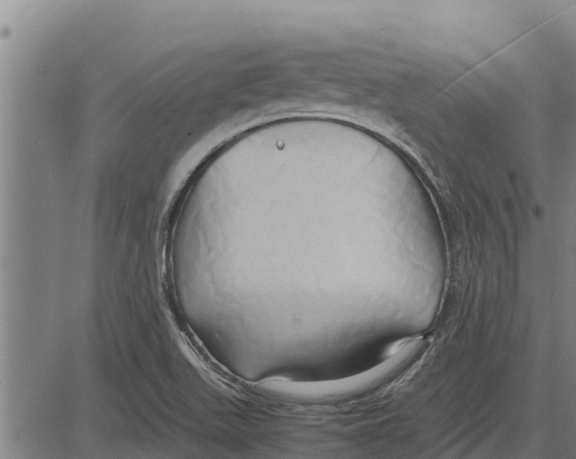 X0000083621511200703121615