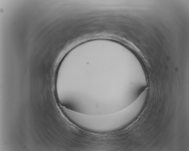 X0000083621512200703121615