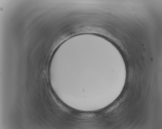 X0000083621513200703121615