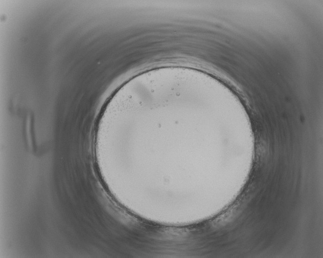 X0000083621514200703121615