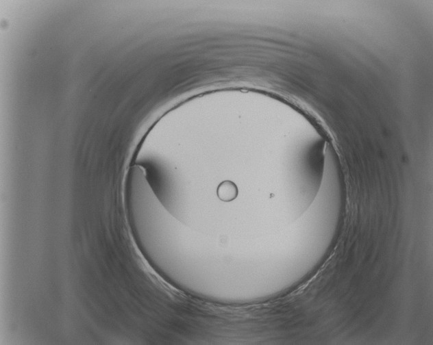 X0000083621516200703121615