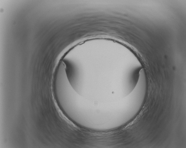 X0000083621518200703121615