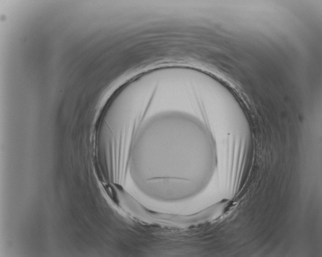 X0000083621519200703121615