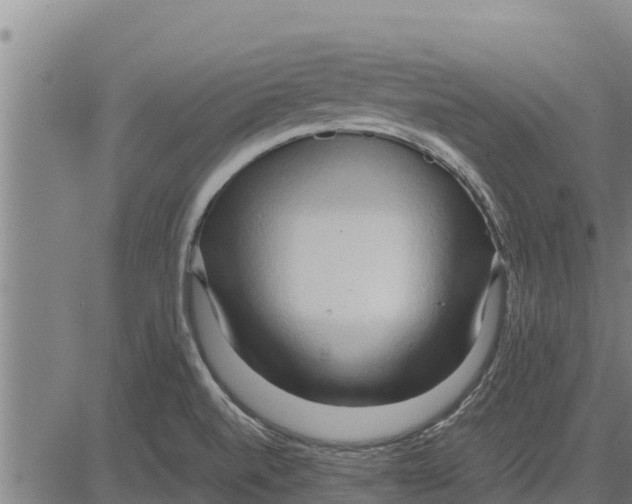 X0000083621520200703121615