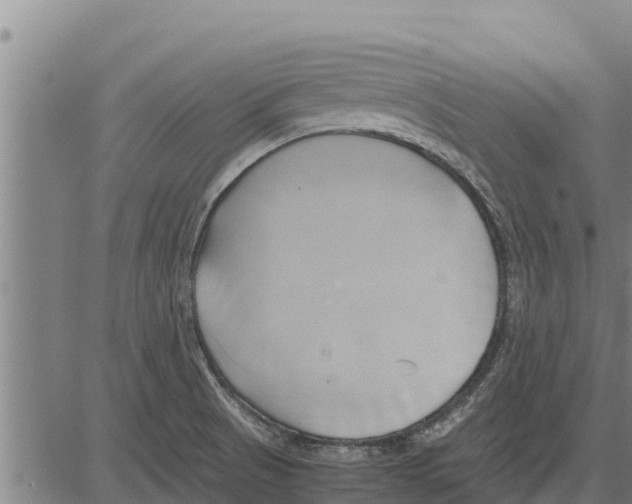 X0000083621521200703121615