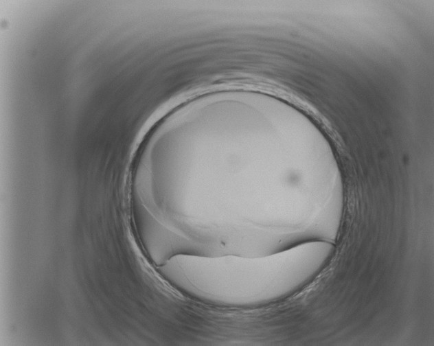 X0000083621522200703121615