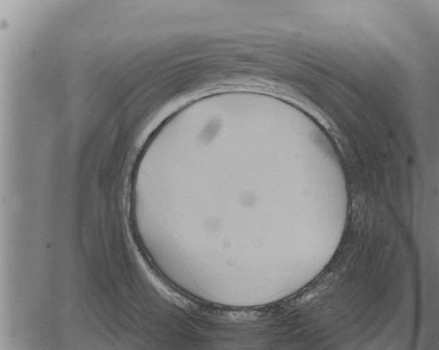 X0000083621523200703121615