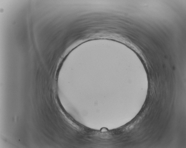 X0000083621525200703121615