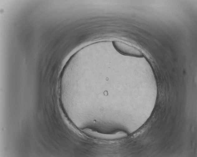 X0000083621526200703121615