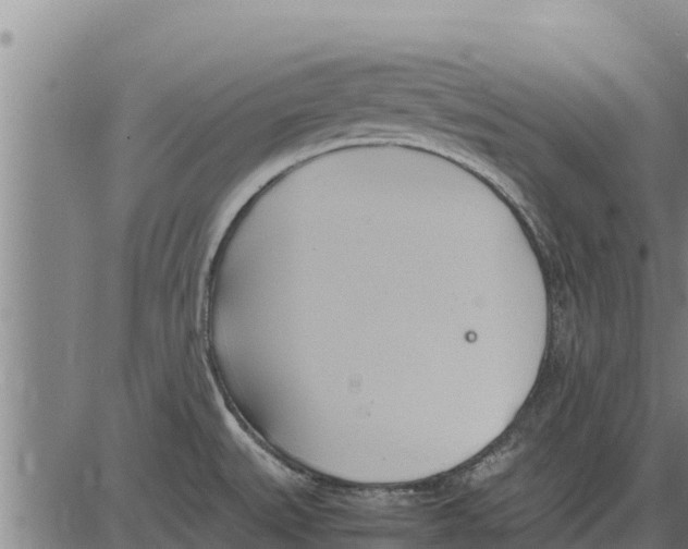 X0000083621527200703121615