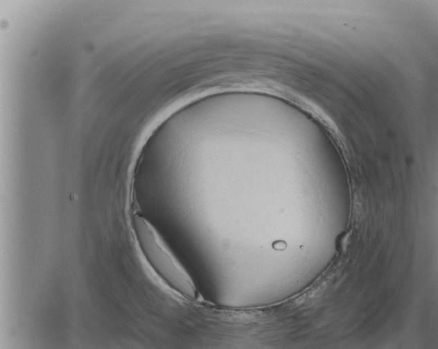 X0000083621528200703121615