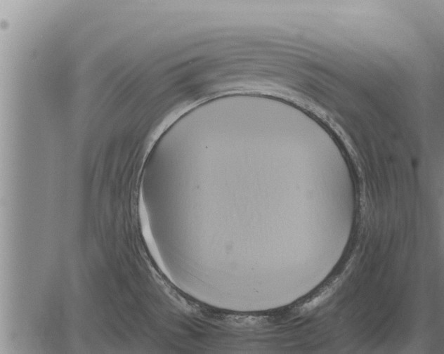 X0000083621529200703121615