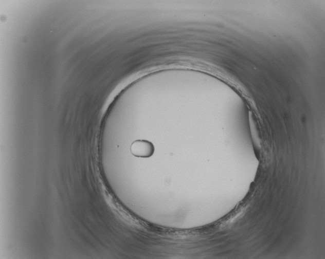 X0000083621530200703121615