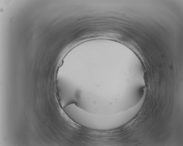 X0000083621532200703121615