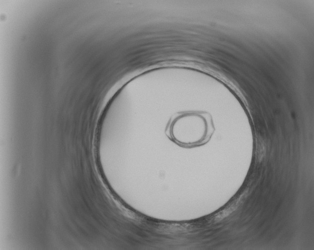 X0000083621533200703121615