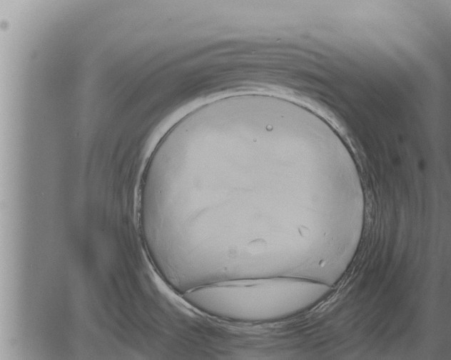 X0000083621535200703121615