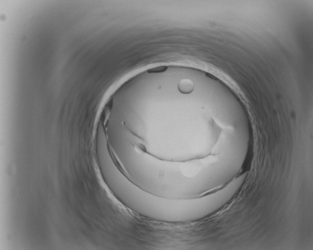 X0000083621536200703121615