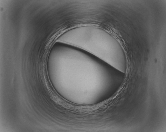 X0000083630001200702120738